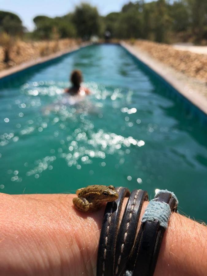 Sublim' Ecolodge Abela Bagian luar foto