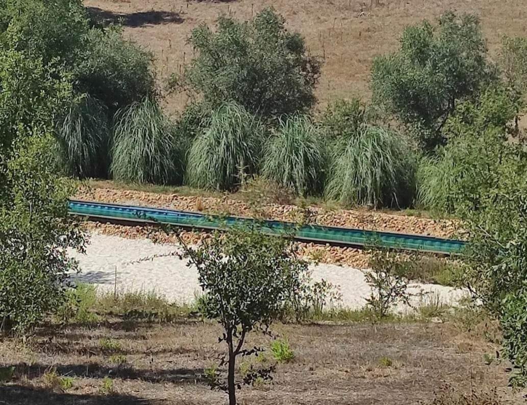 Sublim' Ecolodge Abela Bagian luar foto